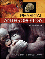 anthropology_stein